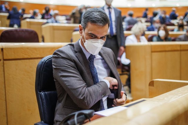 El president del govern central, Pedro Sánchez, en el ple al Senat