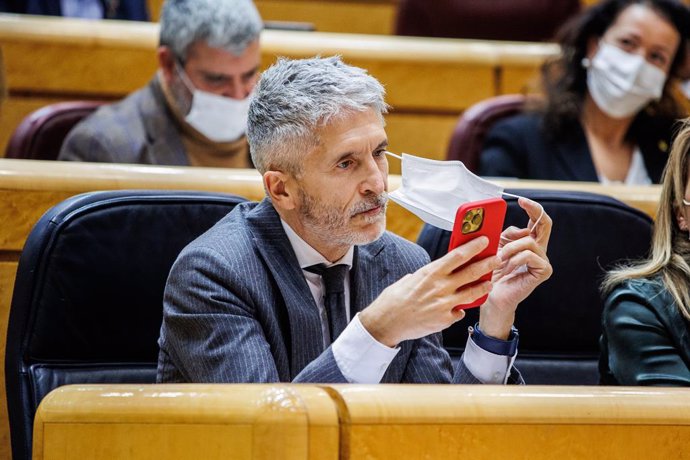 El ministro de Interior, Fernando Grande-Marlaska, en el pleno en el Senado