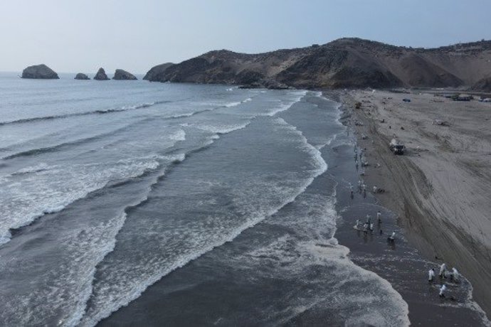 Vista aérea de la limpieza de una playa en Lima tras el derrame de crudo