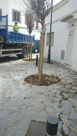 Mejoras del entorno de la plaza de sa Font del Portitxol.