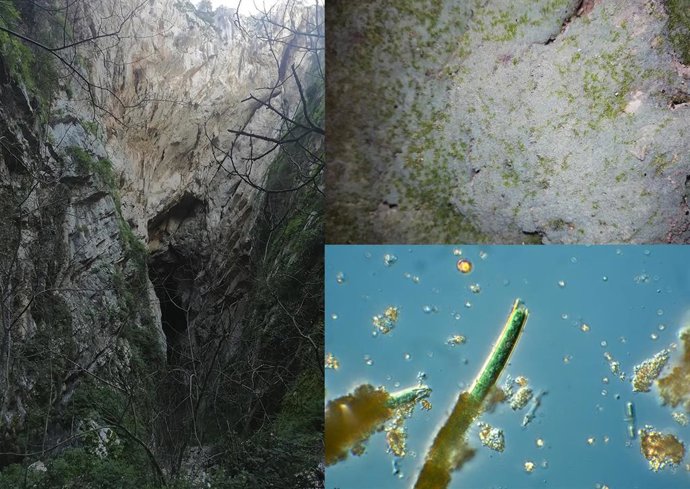 Un estudio revela dos especies de amebas en la Cueva del Hundidero que actúan como bioindicadores del cambio climático