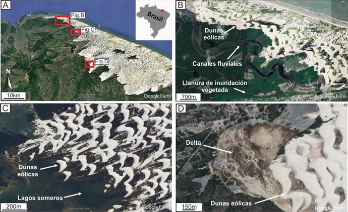 Imágenes de Google Earth del Parque Nacional de Lenois Marahensis (noreste de Brasil) donde se desarrollan dunas eólicas, canales fluviales, deltas, llanuras de inundación vegetadas y lagos someros.