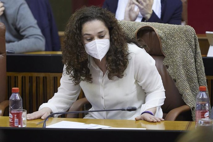 La portavoz del Grupo Parlamentario Unidas Podemos, Inmaculada Nieto, en una foto de archivo en el Parlamento andaluz.