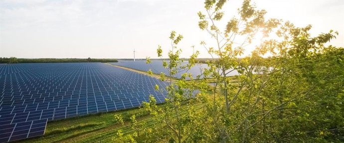 Tempur apuesta por la sostenibilidad y se marca el objetivo cero emisiones