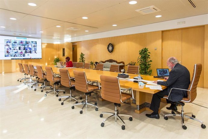 Fernándo Rodríguez Villalobos, preside la reunión telemática de la Comisión Ejecutiva de la FAMP