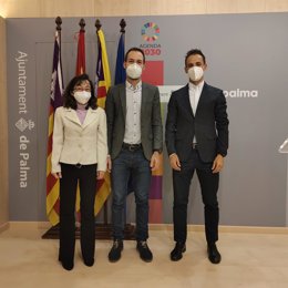 Aprueban obras de renovación y mejora en varios campos de fútbol municipales de Palma.