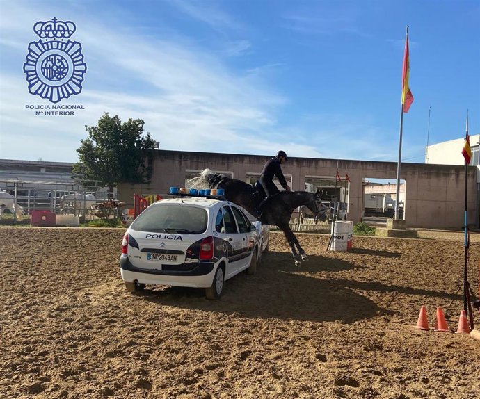 Momento de la demostración