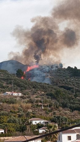 Incendio forestal declarado en Cómpeta
