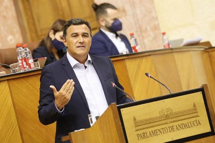 El parlamentario de Ciudadanos, Carlos Hernández White