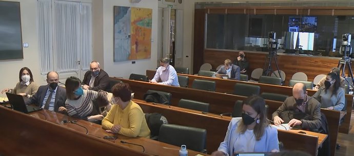 Comisión de Medio Rural y Cohesión Territorial