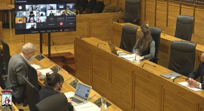 Pleno Municipal de Gijón