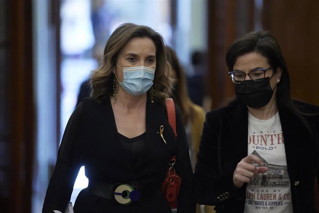 Unidas Podemos defiende su reforma fiscal en el Pleno del Congreso