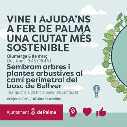 Siembra popular del Ayuntamiento de Palma.