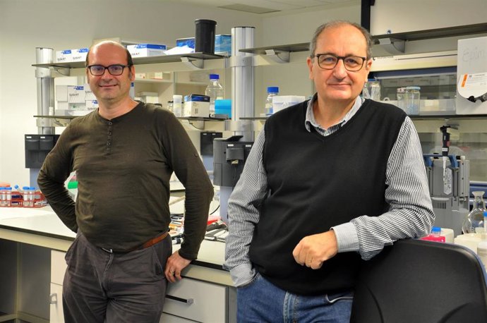 Archivo - Los investigadores Pérez y Moya