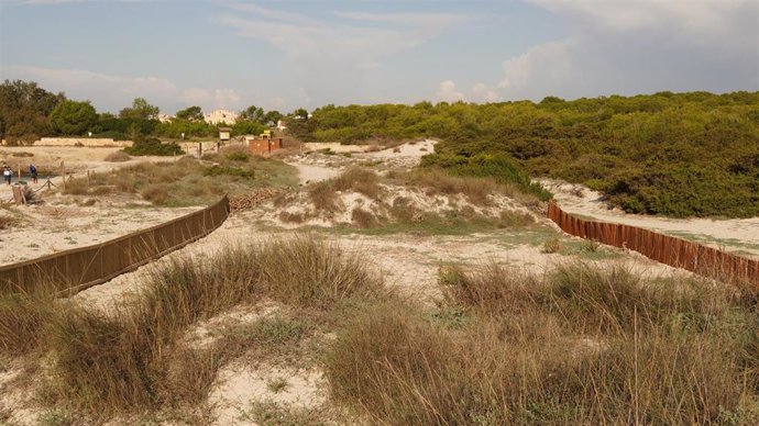 Un espacio de relevancia ambiental en Baleares.