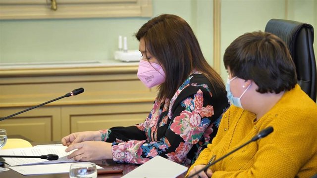 La consellera de Presidencia, Función Pública e Igualdad, Mercedes Garrido, durante su comparecencia en el Parlament para informar sobre la internalización de IB3.