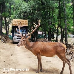 Eco Reserva de Ojén (Málaga)