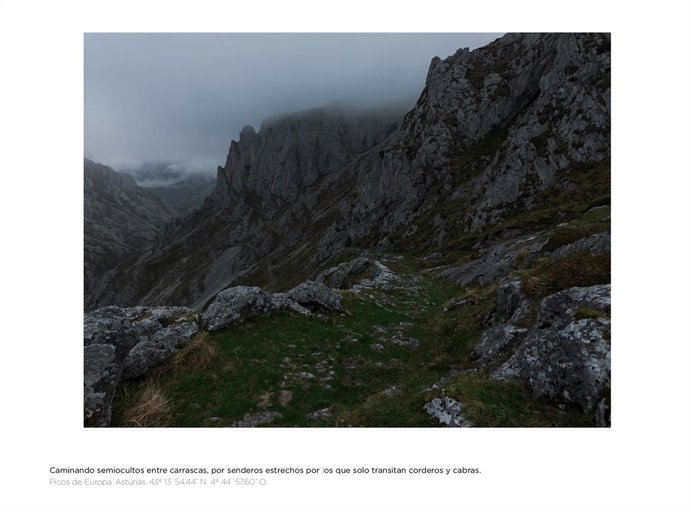 Archivo - Exposición maderas de oriente