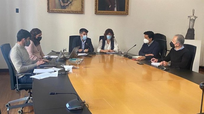 Conferencia web 'Oportunidades Next Generation para la rehabilitación de los edificios públicos de las entidades locales en Mallorca'.