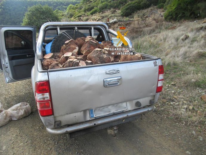 Vehículo con las cepas de brezo cortadas ilegalmene en el Parque Nacional Sierra de las Nieves