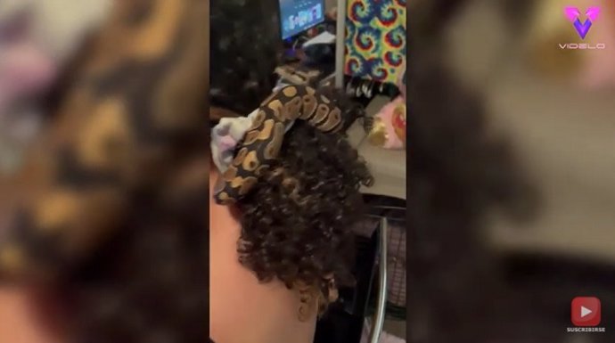 Esta mujer utiliza una serpiente como coletero