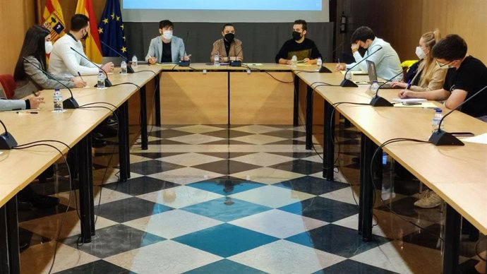 La reunión ha tenido lugar en la sala Bayeu del Edificio Pigantelli.