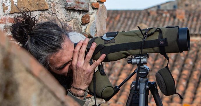 Una persona observa aves en el casco histórico de Cáceres