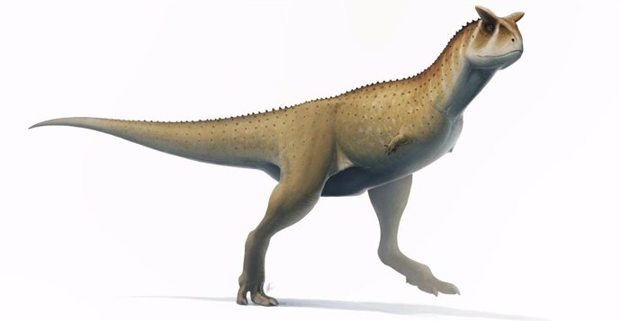 Guemesia ochoai podría haberse parecido a parientes como Carnotaurus sastrei (en la foto).