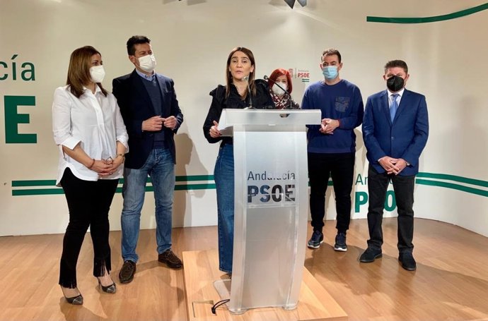 Rueda de prensa en el PSOE de Granada sobre la situación de la sanidad pública