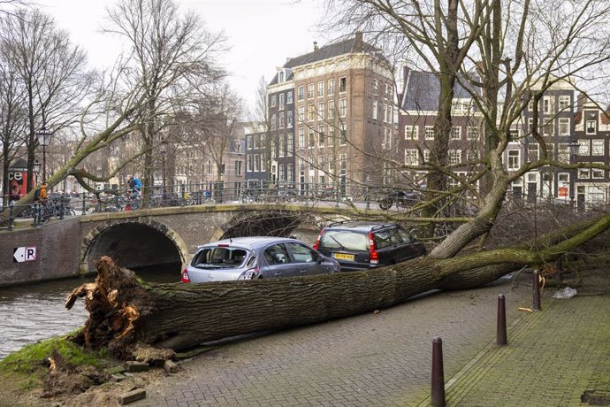 18 February 2022, Netherlands, Amsterdam: A tree has fallen in the center of Amsterdam as a result of the storm "Eunice". Photo: Ramon Van Flymen/ANP/dpa