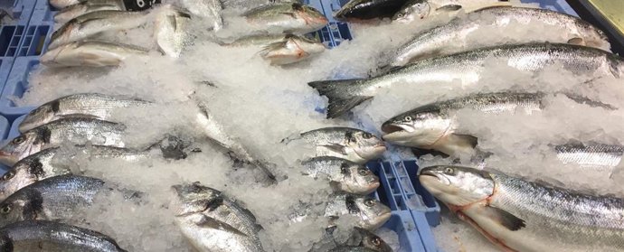 Archivo - Pescado fresco. Doradas y Lubinas especies características del Mar Menor