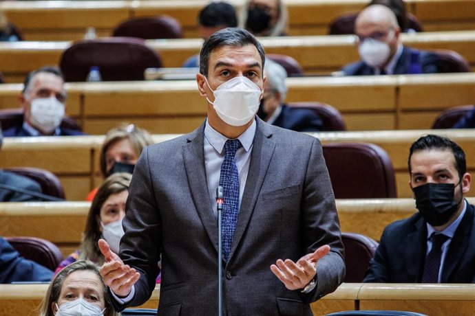 El presidente del Gobierno, Pedro Sánchez, interviene en un pleno en el Senado, a 15 de febrero de 2022, en Madrid (España).