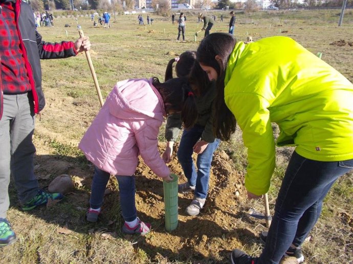 Archivo - Reforestación en Tablada, en foto de archivo.