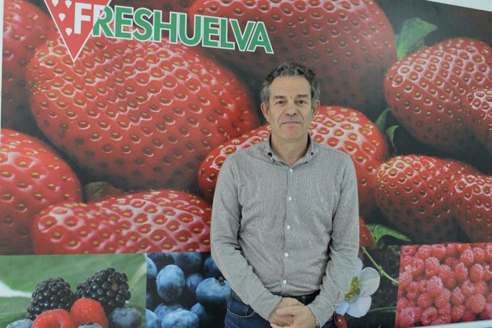 Archivo - El gerente de Freshuelva, Rafael Domínguez, en una imagen de archivo.