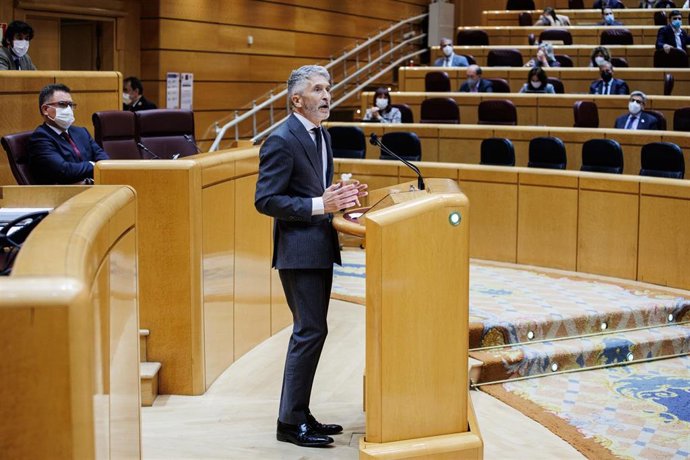 El ministro del Interior, Fernando Grande-Marlaska, en un pleno en el Senado