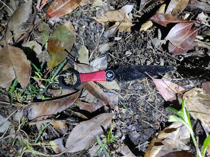 Imagen del arma utilizada