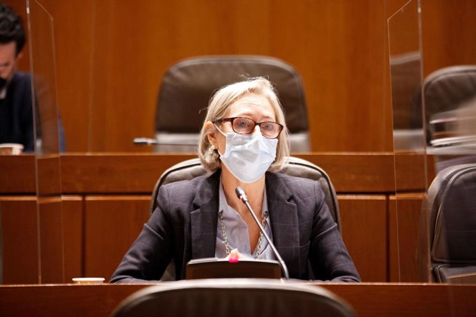 Archivo - La diputada portavoz de Educación en las Cortes de Aragón, Pilar Cortés.
