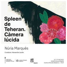 Imagen del proyecto 'Spleen de Teheran. Cmera lúcida'