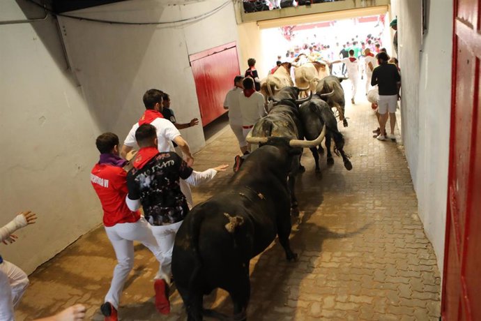 Archivo - Cientos de personas corren en el último encierro de los Sanfermines 2019 en Pamplona (Navarra).