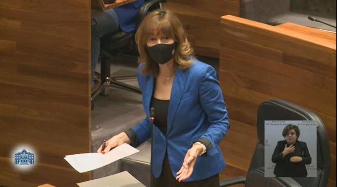 Ana Cárcaba en sede parlamentaria.