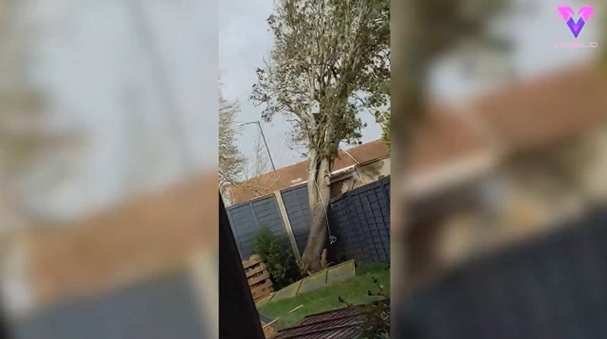 Desconecta.- Un joven grabó el momento en el que una fuerte tormenta ...
