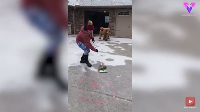 Recreando un partido de curling casero en el jardín pero salió mal