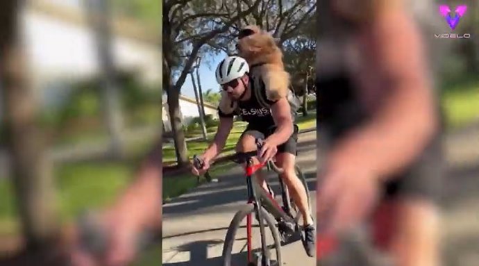 A este perro le encanta montar en bici con su dueño