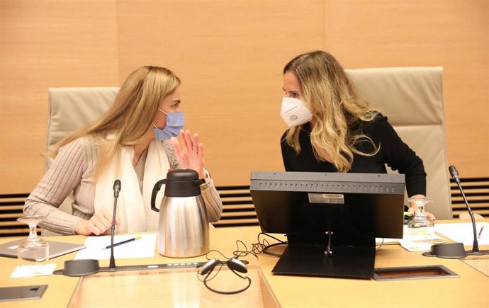 La comisaria europea Responsable de Energía, Kadri Simson (i), conversa con la presidenta de la Comisión Mixta para la Unión Europea, Susana Sumelzo, antes de una comparecencia en el Congreso
