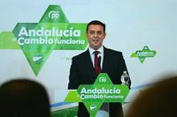 El presidente del PP de Almería: "Es el momento de dar voz a los afiliados en un congreso de unidad"