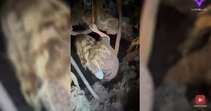 DOS AVENTUREROS EXPLORARON LA CUEVA QUE SE ENCONTRABA DENTRO DE UN ÁRBOL