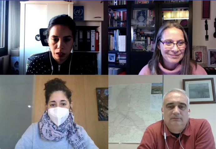 Reunión telemática de la delegación de Cooperación al Desarrollo y Solidaridad Internacional de la DPZ con representantes de la Agencia de Naciones Unidas para el Refugiado de Palestina (UNRWA).