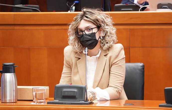 La vicepresidenta del Colegio Profesional de Terapeutas Ocupacionales de Aragón, Sandra Abad, interviene ante la Comisión de Comparecencias Ciudadanas de la Cámara autonómica.
