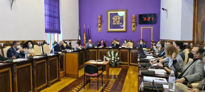 Celebración del pleno.