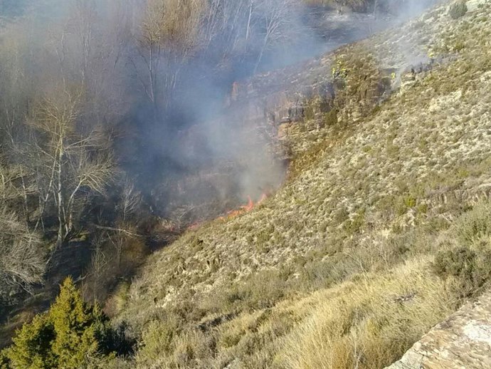 Controlado el incendio en una zona de cultivo en Aguilar del Río Alhama